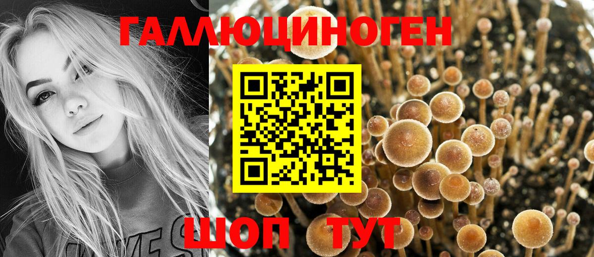 Галлюциногенные грибы Magic Shrooms Нальчик